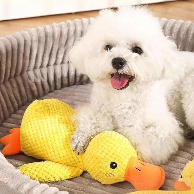 Canard à Mâcher Anti-Stress pour Chien | CalinCanin™
