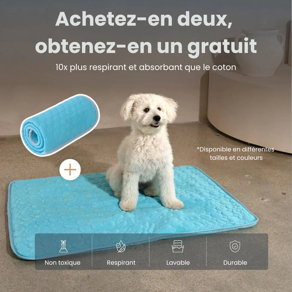 FreshPad™ – Tapis Rafraîchissant pour Chien  | Le Pelage