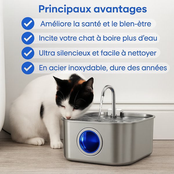Félinox™ | Fontaine Intelligente Anti-Maladies Rénales