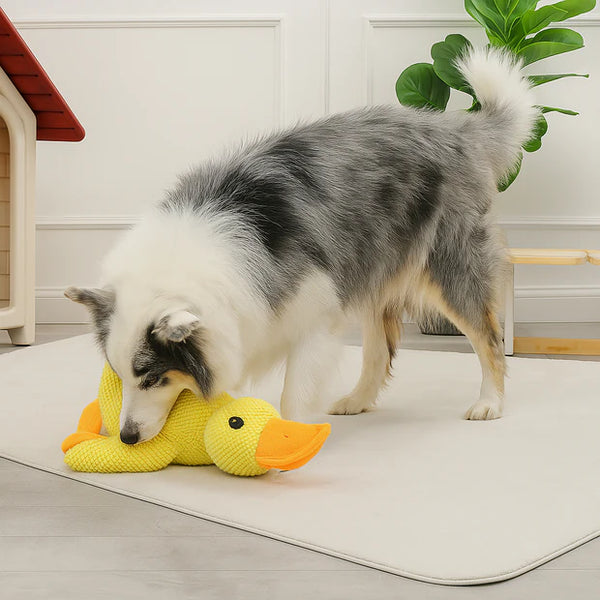 Canard à Mâcher Anti-Stress pour Chien | CalinCanin™