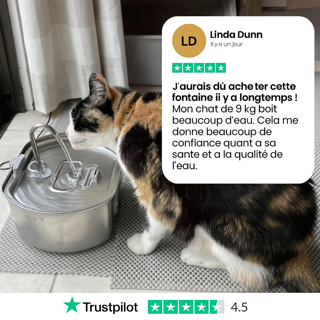 Félinox™ | Fontaine Intelligente Anti-Maladies Rénales