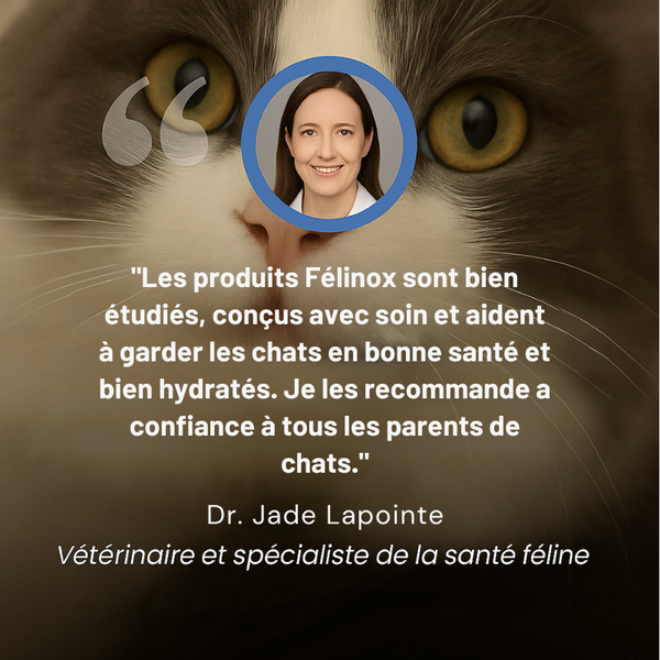 Félinox™ | Fontaine Intelligente Anti-Maladies Rénales