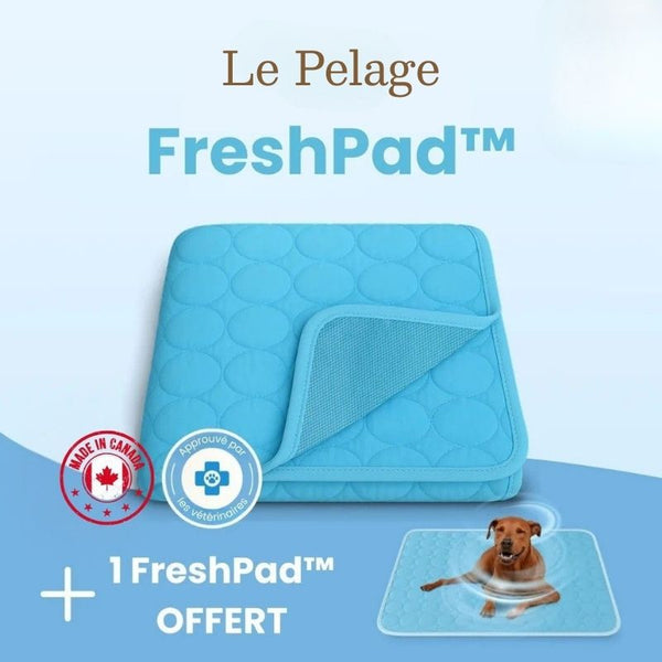 FreshPad™ – Tapis Rafraîchissant pour Chien  | Le Pelage