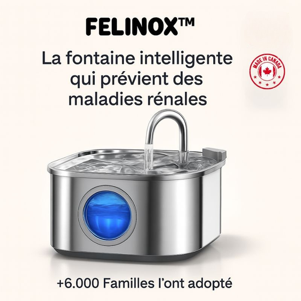Félinox™ | Fontaine Intelligente Anti-Maladies Rénales