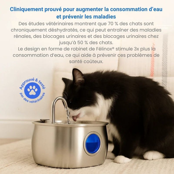 Félinox™ | Fontaine Intelligente Anti-Maladies Rénales