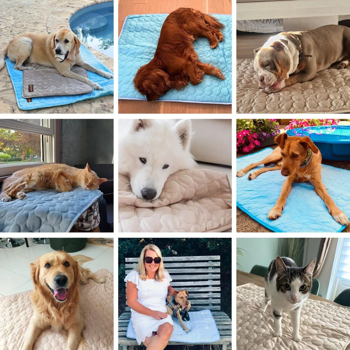 FreshPad™ – Tapis Rafraîchissant pour Chien  | Le Pelage