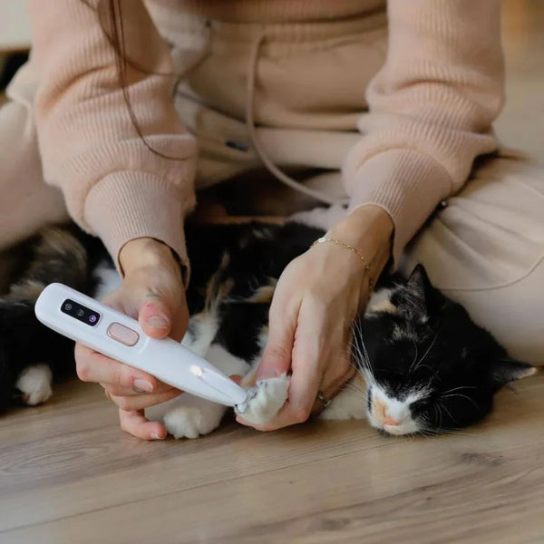 Tondeuse de Précision LED Le Pelage™ | Moins de poils. Moins de chaleur.