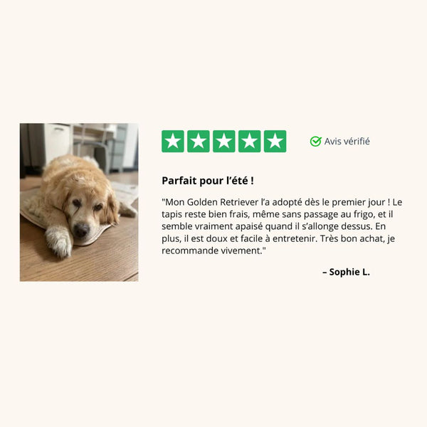 FreshPad™ – Tapis Rafraîchissant pour Chien  | Le Pelage