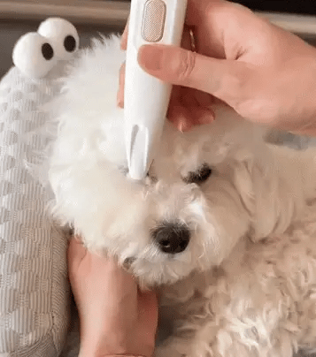 Tondeuse de Précision LED Le Pelage™ | Moins de poils. Moins de chaleur.