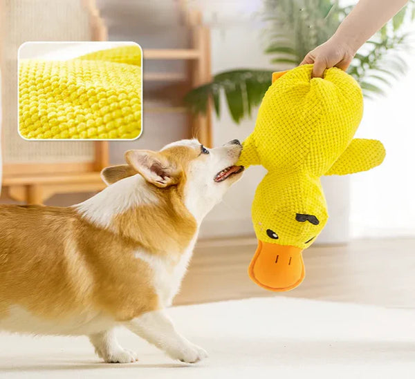 Canard à Mâcher Anti-Stress pour Chien | CalinCanin™